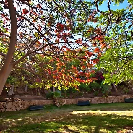 Americas Best-suite -ampio Con Vista, Giardino E Piscina Apartamento
